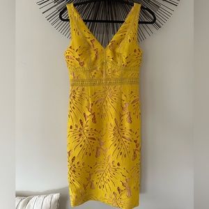 Maeve dress/Anthropologie